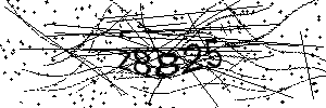 Captcha Grafik